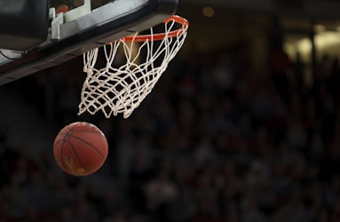 NBA篮球比赛精彩瞬间 - 球员飞跃扣篮，观众席气氛热烈